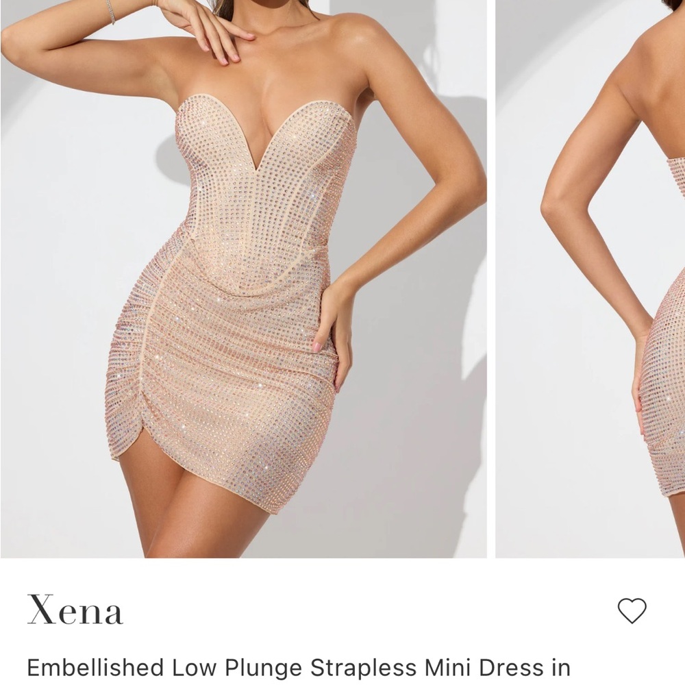Oh Polly Xena in Champagne